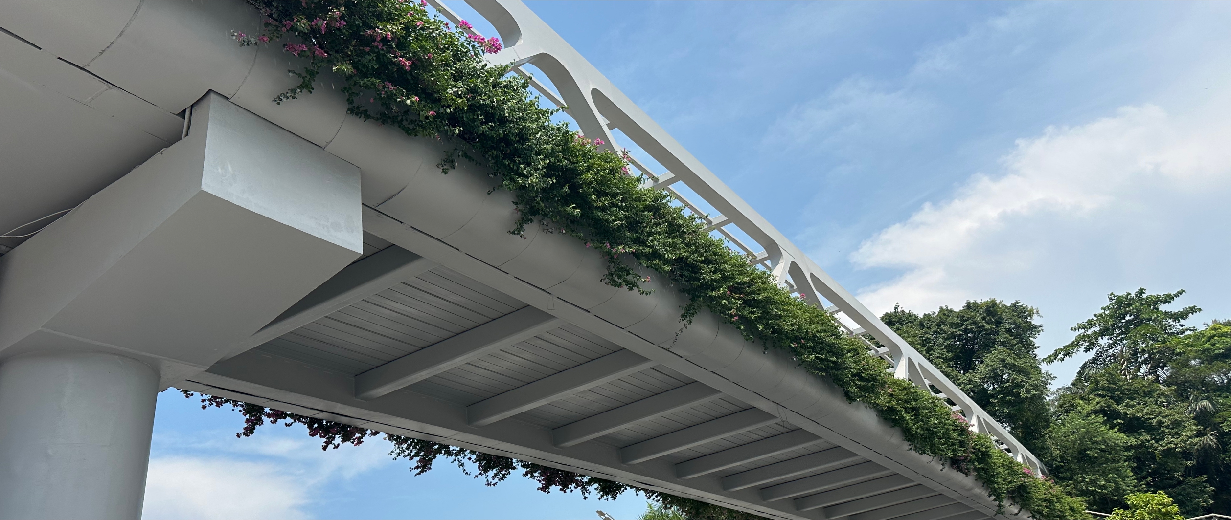 �㶫�����Ԫ���ǻ�Park����԰����ͣ����